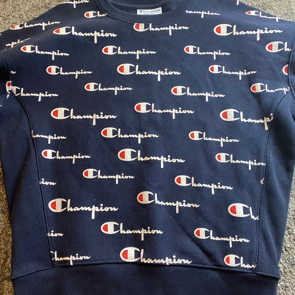 Navy blue champion sweatshirt.
